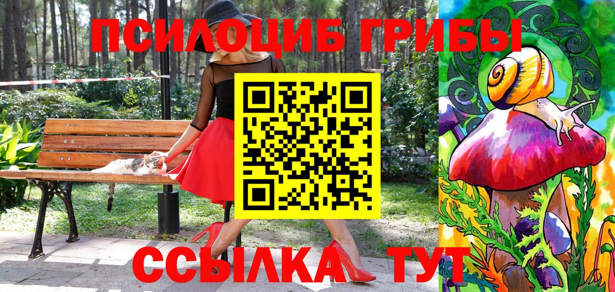 Галлюциногенные грибы MAGIC MUSHROOMS Пятигорск
