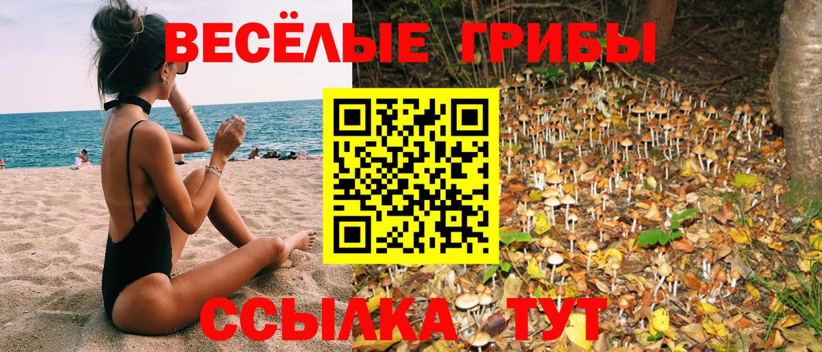 Пятигорск  Псилоцибиновые грибы мицелий  Псилоцибиновые грибы мухоморы  Вход с VPN 